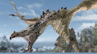 Photo of Skyrim Mod Adds Dragon Textures Countless Modes Available