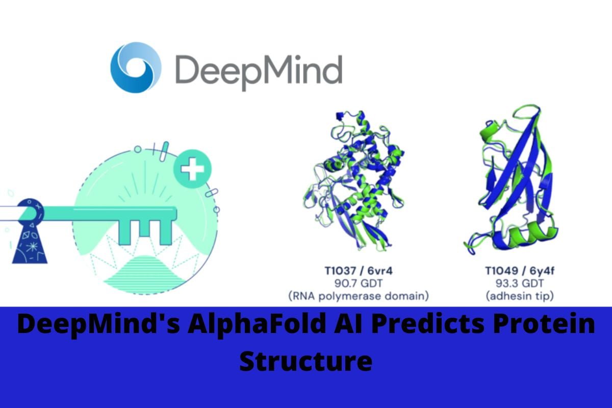 DeepMind's AlphaFold AI Predicts Protein Structure
