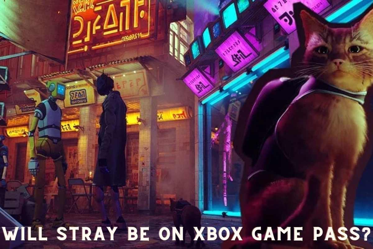 Will Stray be on Xbox Game Pass