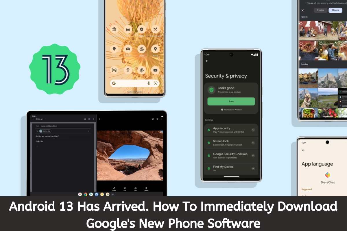 Android 13 Has Arrived. How To Immediately Download Google's New Phone Software