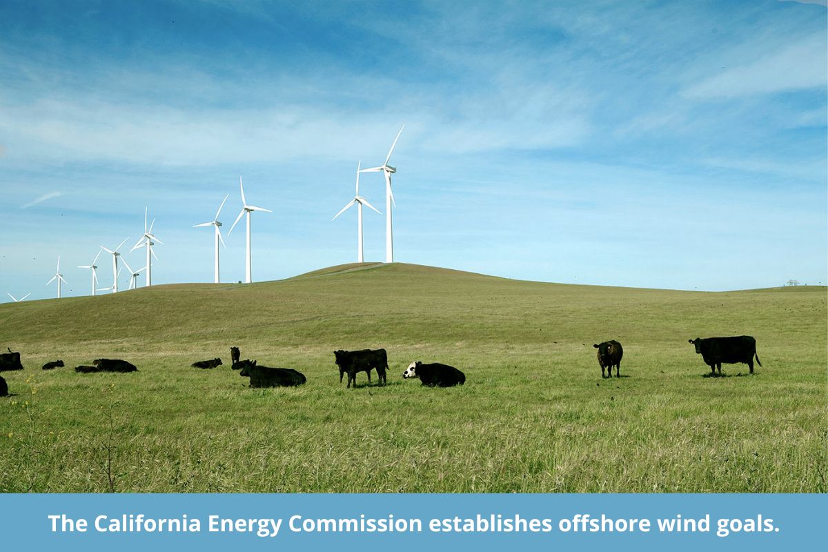 The California Energy Commission establishes offshore wind goals.