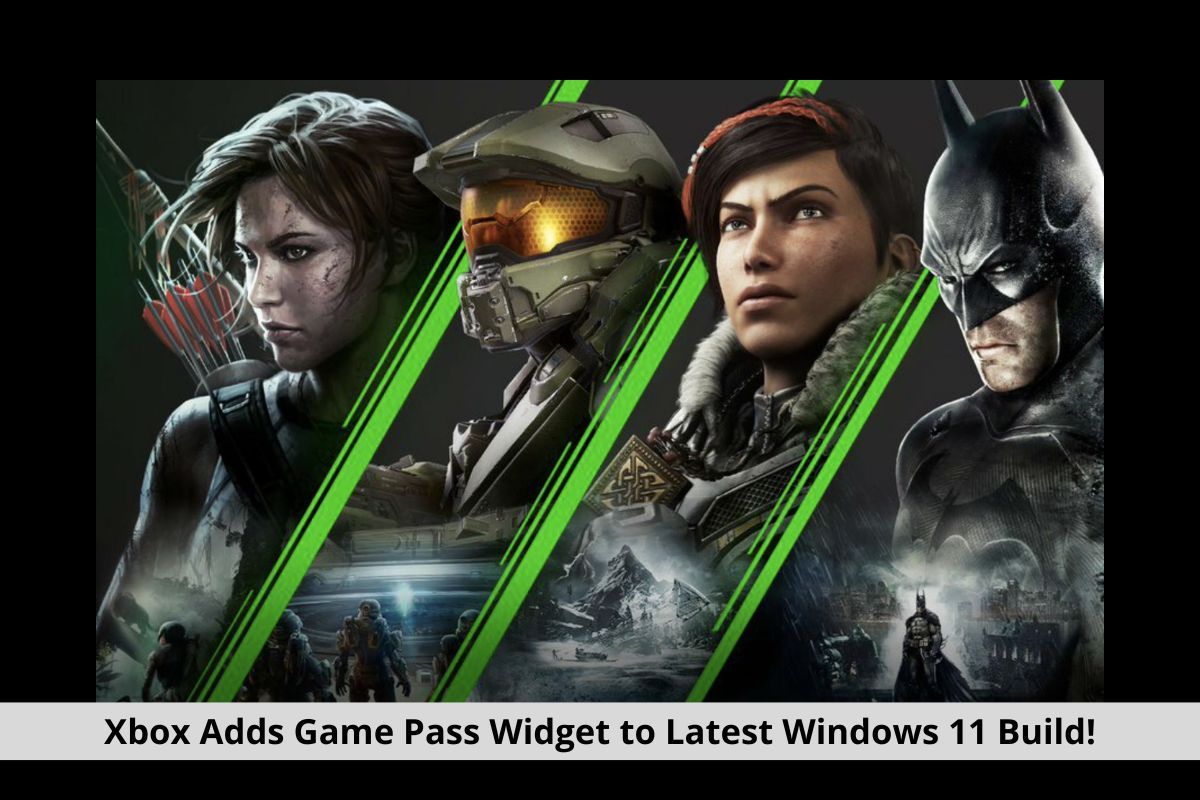 Xbox Adds Game Pass Widget to Latest Windows 11 Build!