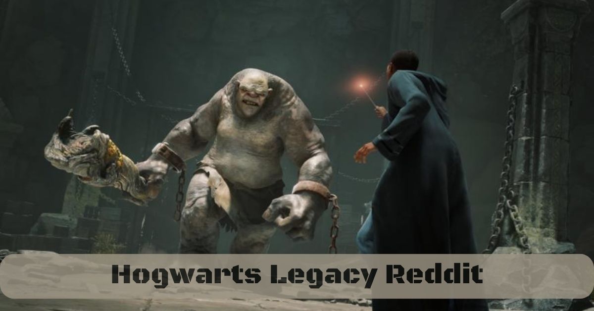 hogwarts legacy online reddit