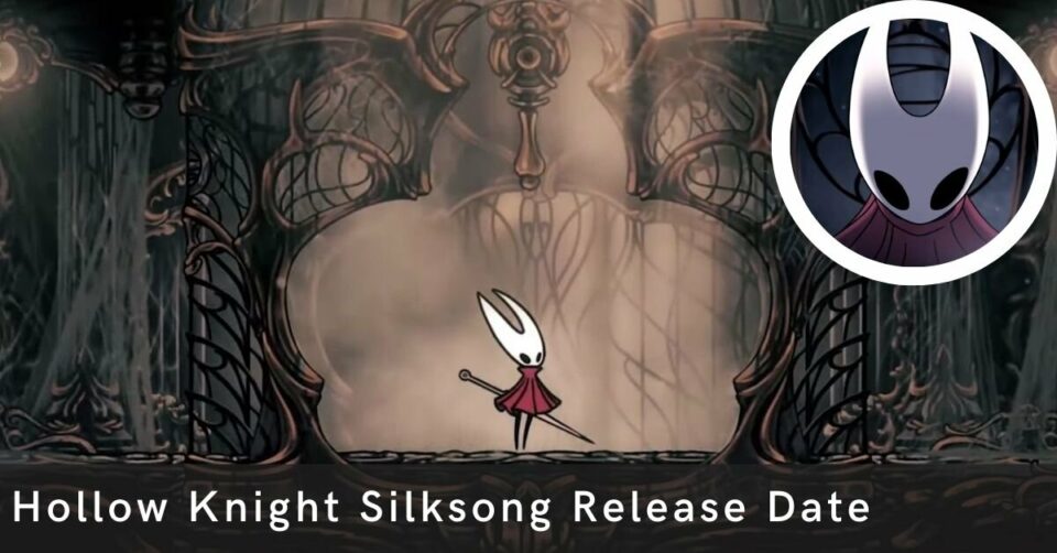 Hollow Knight Silksong Release Date Is It Has Been Delayed   Hollow Knight Silksong Release Date 1 1 960x502 