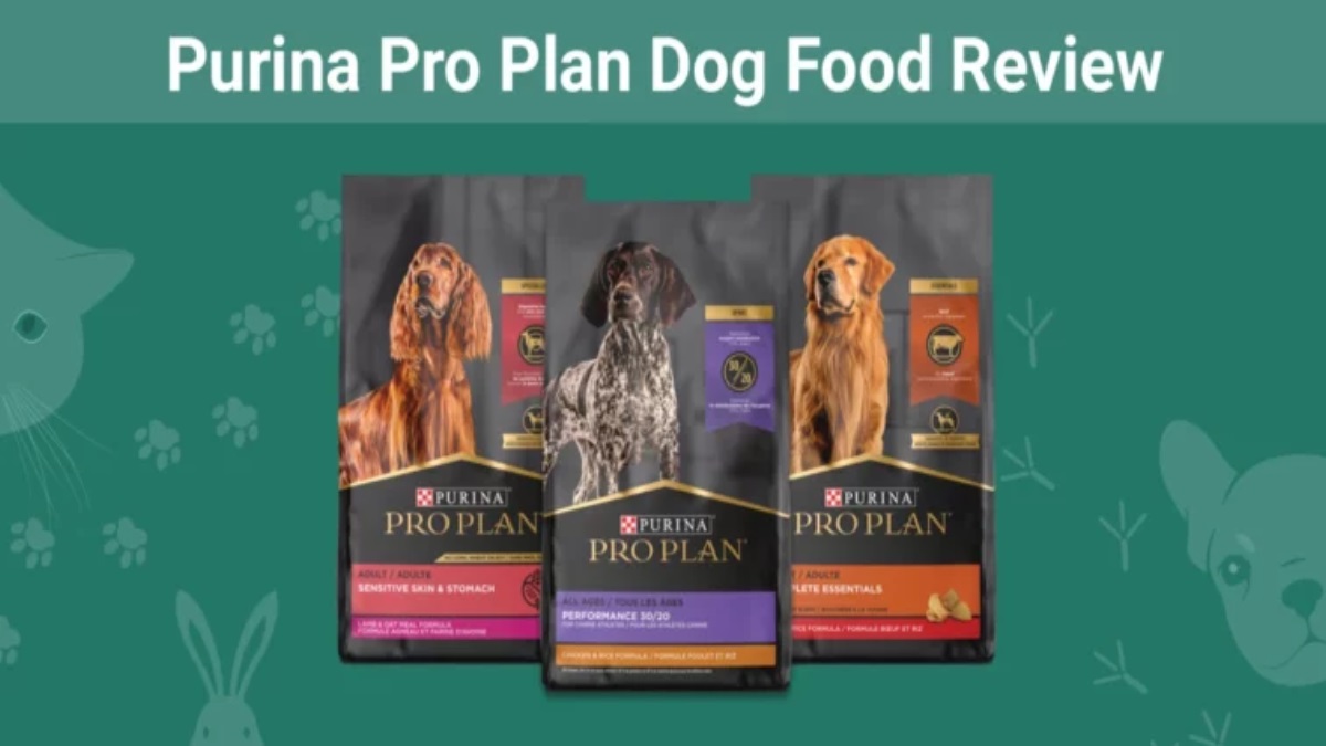 Purina Pro Plan sick dogs